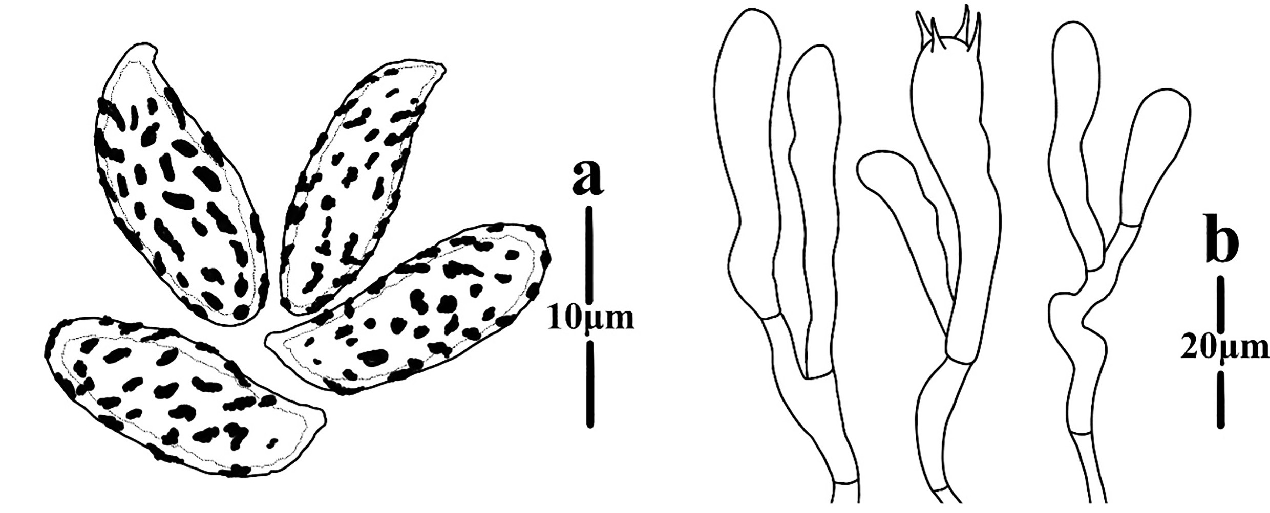 Figure 119